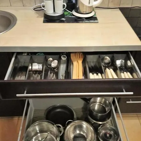 Apartament Radowid 15 W Centrum Z Basenem Zakopane